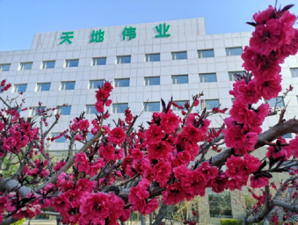 海洋之神·hy590(中国)最新官方网站